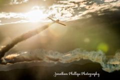 Summer-Ball-Photo-110